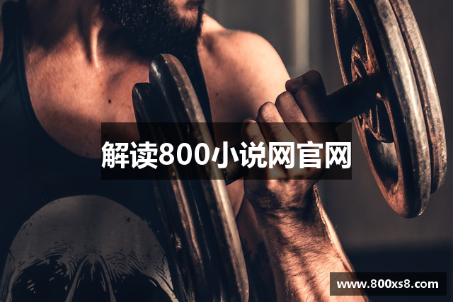 解读800小说网官网